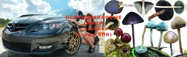2c-b Абинск