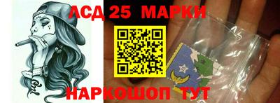 стаф Новокубанск