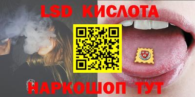 стаф Новокубанск
