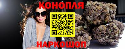 прущий лед Новозыбков