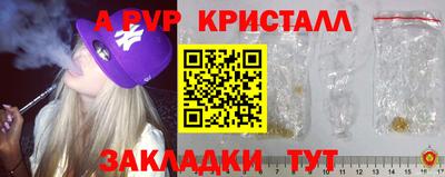 стаф Новокубанск