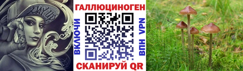 kraken сайт Севастополь Псилоцибиновые грибы Psilocybine cubensis