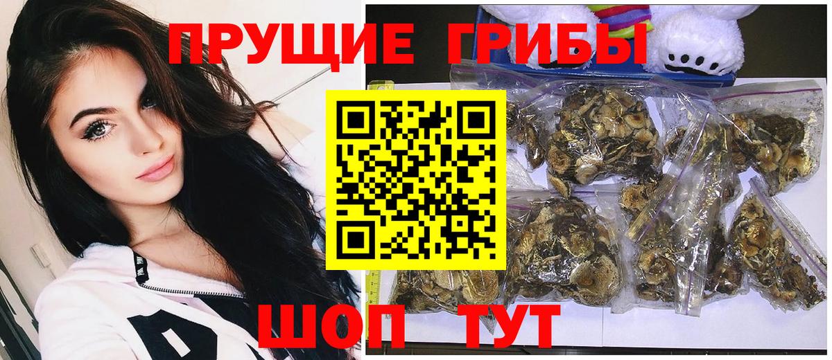 Галлюциногенные грибы мицелий Севастополь