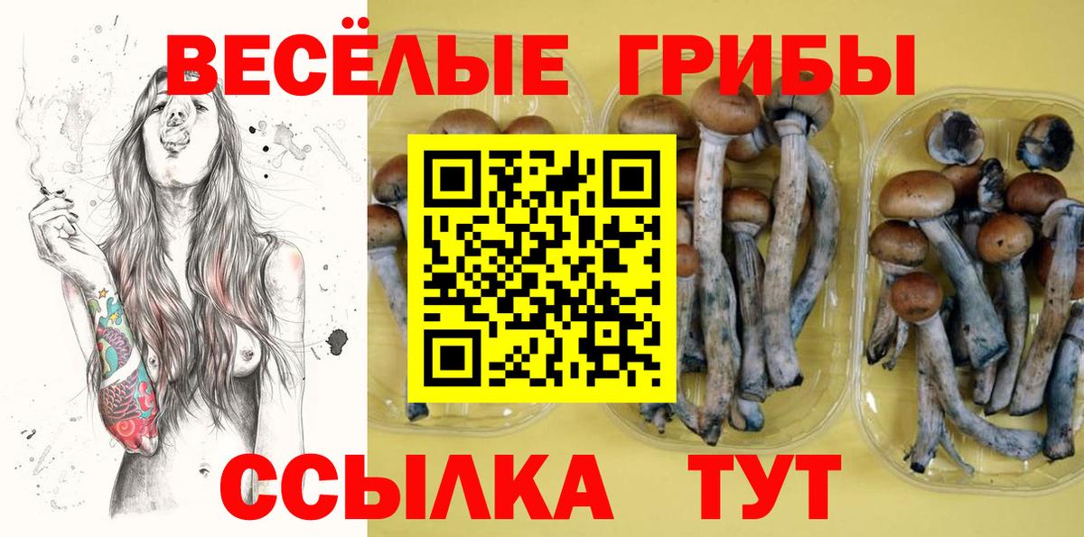 Севастополь  Псилоцибиновые грибы мухоморы  Вход с VPN  Псилоцибиновые грибы мицелий 
